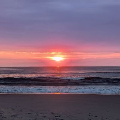 Gotc0305's profile picture. 