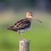 AncientSnipe184 (@ancientsnipe184) Twitter profile photo AncientSnipe184 (@ancientsnipe184) Twitter profile photo