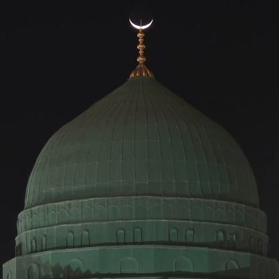 KubraAlinmis's profile picture. 