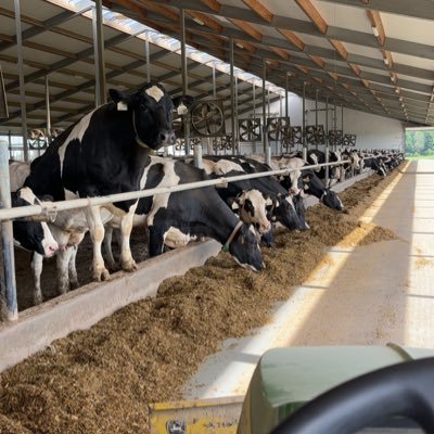 7 generation dairy farmer in Norwich Ontario with Gea 9500