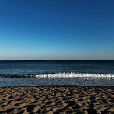 nevermindthiz's profile picture. 