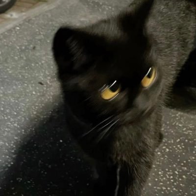 kkk_lujie's profile picture. 管我男的女的