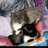 suehaney1969's profile image
