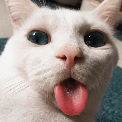 yourcherrypiee's profile picture. 