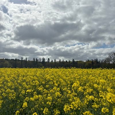 aviexxe's profile picture. professional button pusher