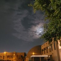 غدير (@g_ali202) Twitter profile photo