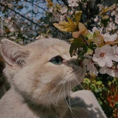 تصميم سيرة ذاتية بنظام ATS التسليم في وقت سريع للطلب والتواصل عبر الرابط التالي https://t.co/8oQoGFxGS4
