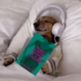 Victori47031213's profile picture. 