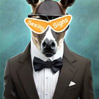 MULA VELHA (@mon_trader) 's Twitter Profile