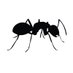 Jean-Philippe Lessard (he/him/his) (@bugecology) Twitter profile photo Jean-Philippe Lessard (he/him/his) (@bugecology) Twitter profile photo