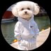 Jay Kilpatrick (@jaykil) Twitter profile photo Jay Kilpatrick (@jaykil) Twitter profile photo