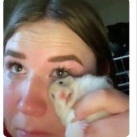 cheezeeee (@macandcheezuuu) 's Twitter Profile