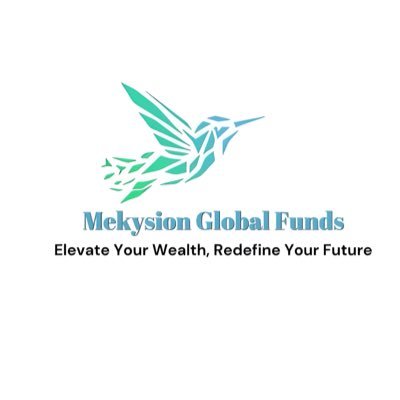 MekysionGlobal's profile picture. At Mekysion Global Funds, we don’t just invest—we revolutionize markets with bold strategies and innovation. Shape tomorrow with us.