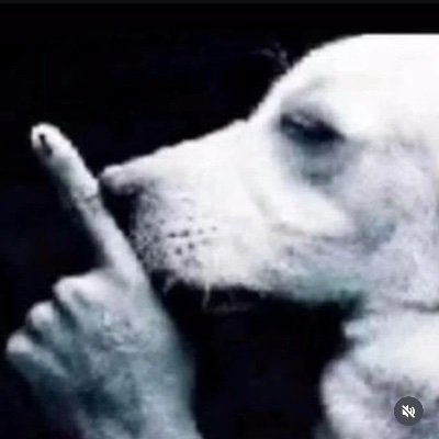 playerid_kisuke's profile picture. Enjoy the butterflies