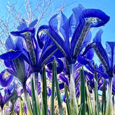 SandiEnriquez's profile picture. Health from the inside out 🍎