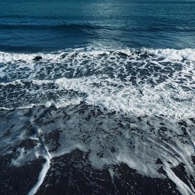 TOJANECAPITAL's profile picture. SIMPLICITY IS THE ULTMATE SOPHISTICATION