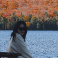 Camille😼 (@camicami778) 's Twitter Profile