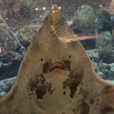 dus43798's profile picture. 