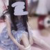 花びら・ほろり② (@rmnt3lbbmusk212) Twitter profile photo 花びら・ほろり② (@rmnt3lbbmusk212) Twitter profile photo