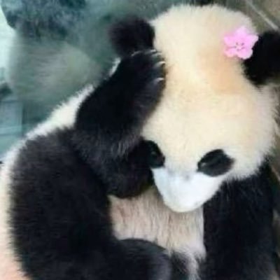 tamaaries99's profile picture. 