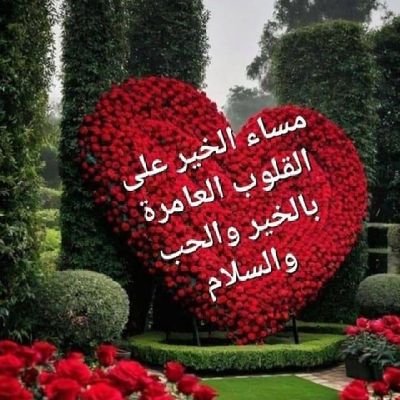 بعض البشر لو كل عمرك تراعيھ
غلطھ وحيدھ .... تهدم اللي بنيتھ
لا شاف شيء .. ما يودھ ويرضيھ
ينسى جمييعاللي بذلت وعطيتھ