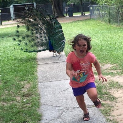 p_a_n_t_a_u's profile picture. Crypto & tech geek | Monero (#XMR) privacy = freedom ✌️ | DeFi, Web3 | Earthworms? Ew! 🪱