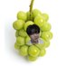 shinemuscat (@putao2005) Twitter profile photo shinemuscat (@putao2005) Twitter profile photo