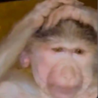 su_i777's profile picture. 