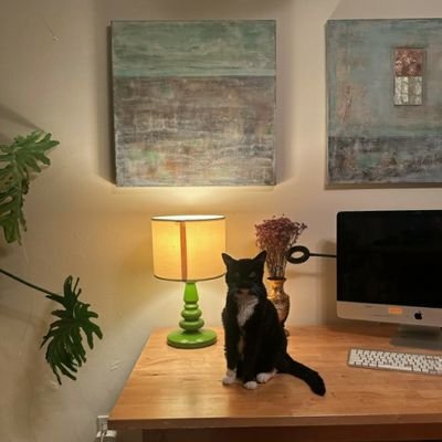 DogK1ten's profile picture. 