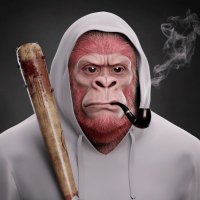 Ser John - King of The Jungle (@cryptojohng) 's Twitter Profile Photo Ser John - King of The Jungle (@cryptojohng) 's Twitter Profile Photo