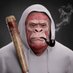 Ser John - King of The Jungle (@cryptojohng) Twitter profile photo Ser John - King of The Jungle (@cryptojohng) Twitter profile photo