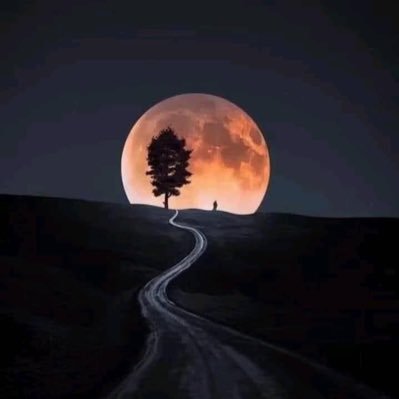 mhdyjbrlsm73712's profile picture. 