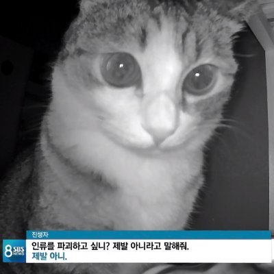 농さんのプロフィール画像