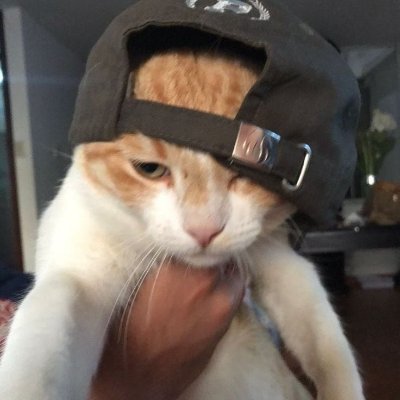 adjxxxcom's profile picture. 