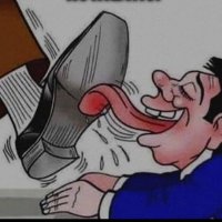 Fred le looser (@fred_slave) 's Twitter Profile