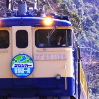 🐤つよ✨tsuyo✌️ (@skyline34piece) 's Twitter Profile