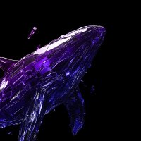 Whale Watch Perps (@whalewatchperps) 's Twitter Profile Photo Whale Watch Perps (@whalewatchperps) 's Twitter Profile Photo