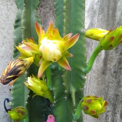 ityoroaniodi001's profile picture. 