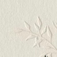 🌿N✨ (@n2030_c) 's Twitter Profile