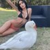 AXEL THE GOOSE (@axelctosol) Twitter profile photo AXEL THE GOOSE (@axelctosol) Twitter profile photo