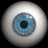 Observer199388 (@observer199388) 's Twitter Profile Photo