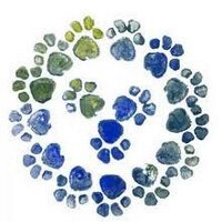 #pawcircle (@pawcircle) 's Twitter Profile Photo #pawcircle (@pawcircle) 's Twitter Profile Photo