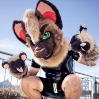 Zephyr 🇨🇭 🔜 NFC (@z3phyrad) 's Twitter Profile Photo Zephyr 🇨🇭 🔜 NFC (@z3phyrad) 's Twitter Profile Photo