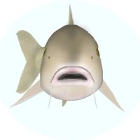 FishFolkArt (@fishfolkart1) 's Twitter Profile