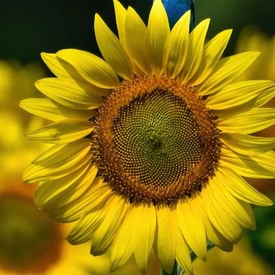 nmarshall42's profile picture. Think responsibly. 
Humanity first. Fairness, whether agreeable or not. Question everything. The answer depends.
MPH RN