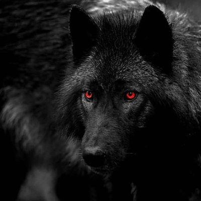 AlpaguTurkoglu's profile picture. ''Gözümün gördüğü hiçbir şeyden korkmam.''
"Lâ tahzen, innallahe meânâ."
"Hasbunallahu ve Ni'mel Vekîl" (Al- İmran: 173.)
(SAFF: 13.)
Müslüman sonra Türk