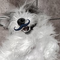 🐛 (@_adventurealex_) 's Twitter Profile