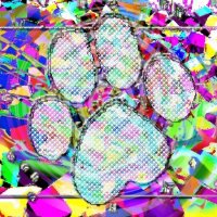 Rat Mom (@urmommischief) 's Twitter Profile
