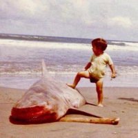 أسامة (@xusamex) 's Twitter Profile