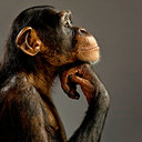 Rich Crowe - @rccrowe1 - Twitter